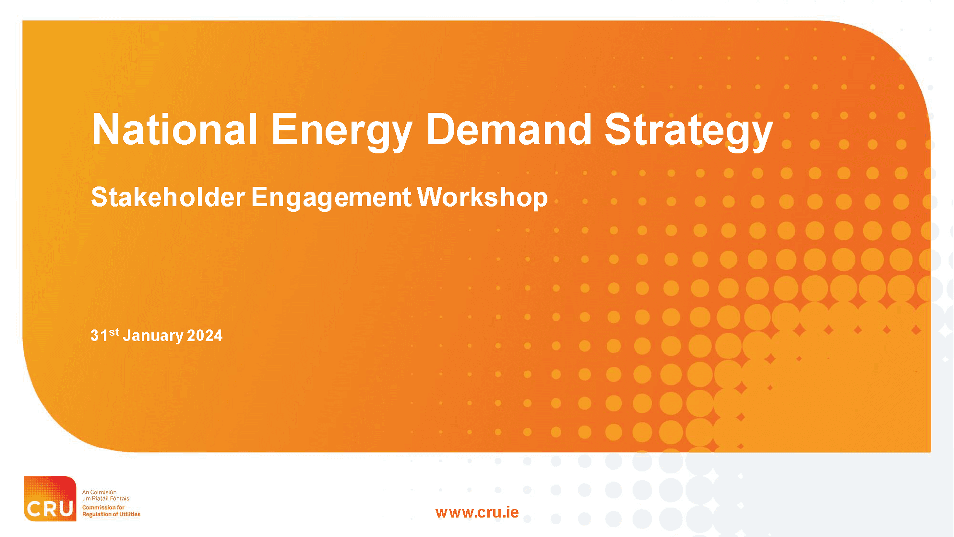 240131_CRU_NEDS_Online_Stakeholder_Workshop_Slides_Page_01