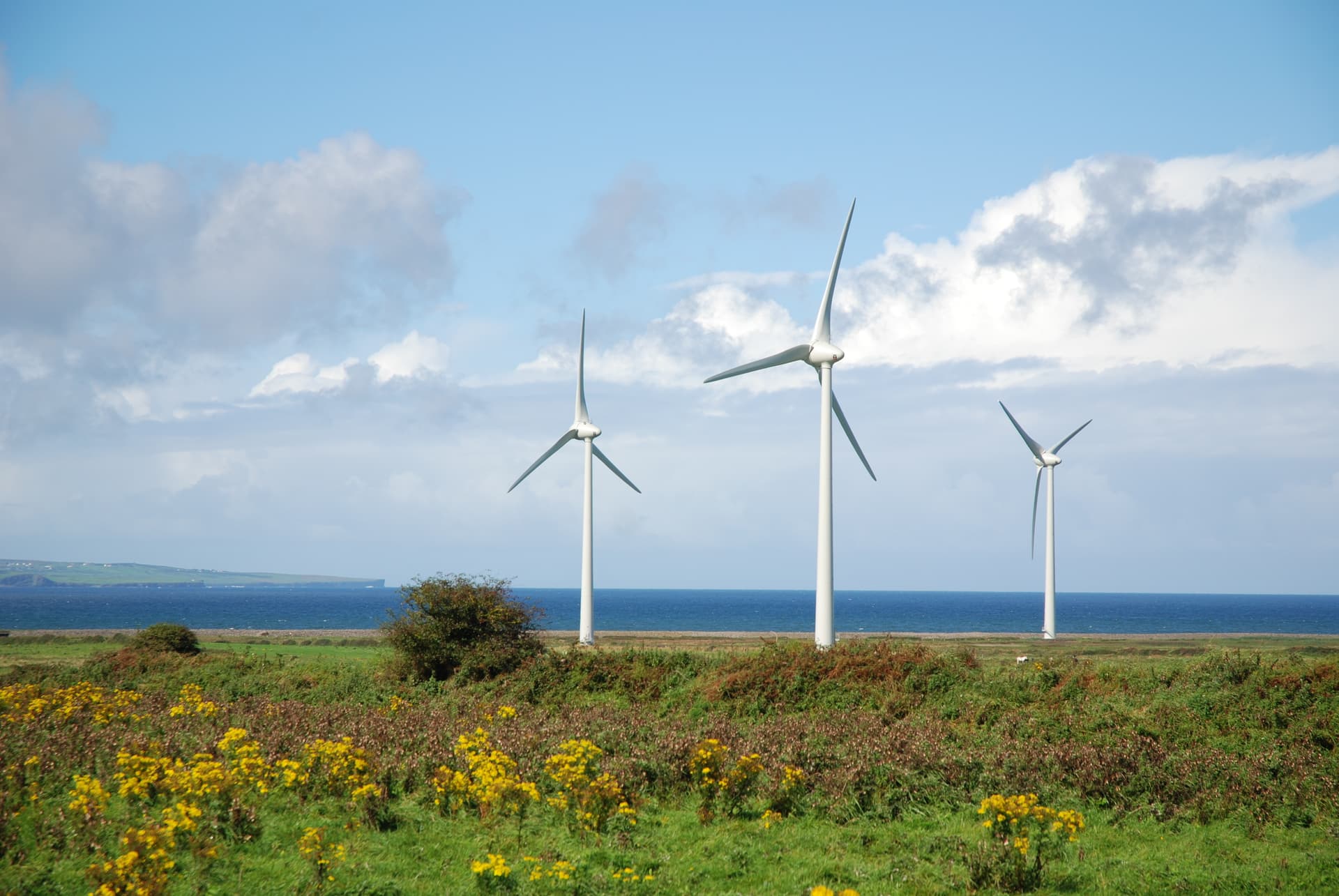 wind energy turbines in countryside